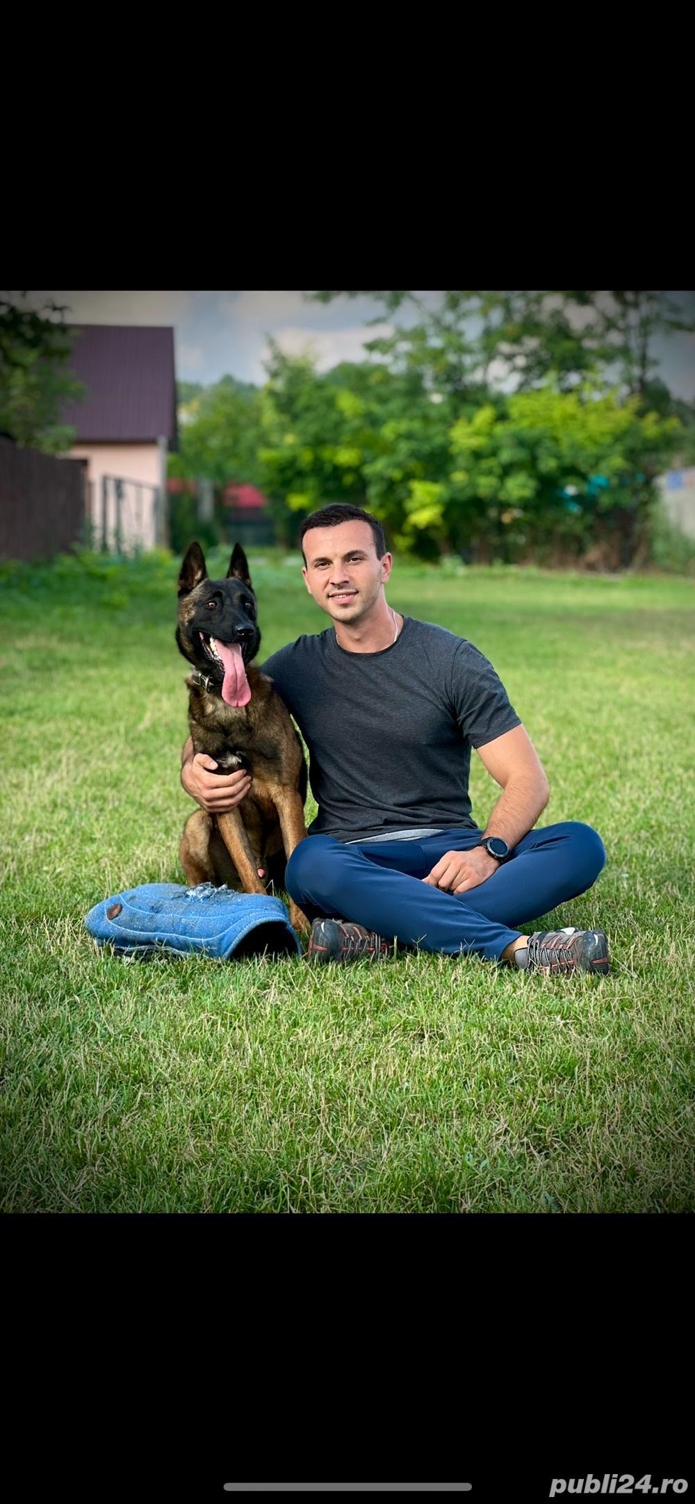 Dresaj canin in Mun. Vaslui   Câinii lui Ștefan