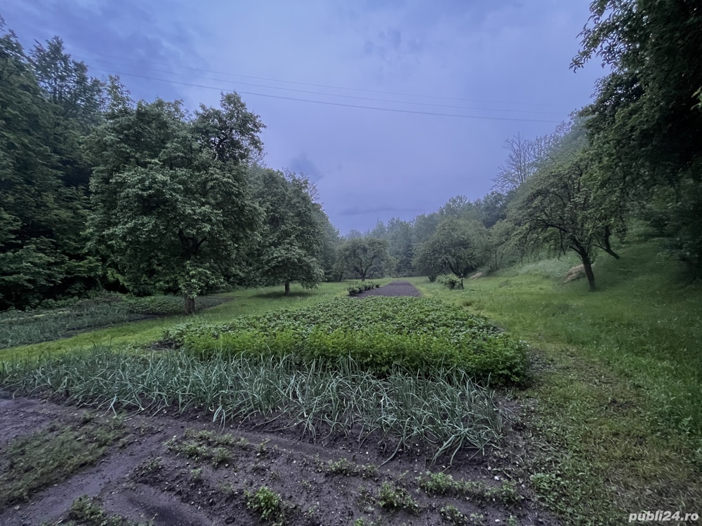 Casa de vanzare cu peste un hectar de teren