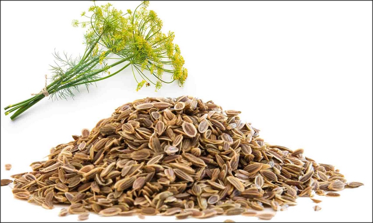 ceai de marar / 300grame seminte sau pulbere