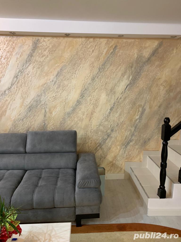 Finisor cu experienta, Arad. 