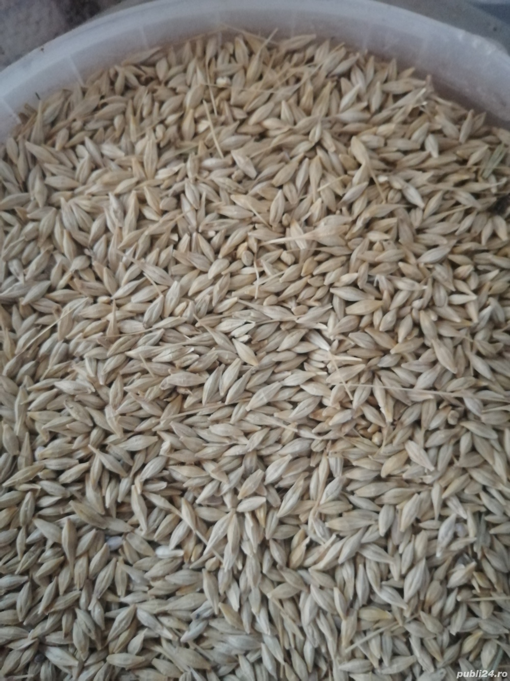 Vând grâu, triticale producție 2025!