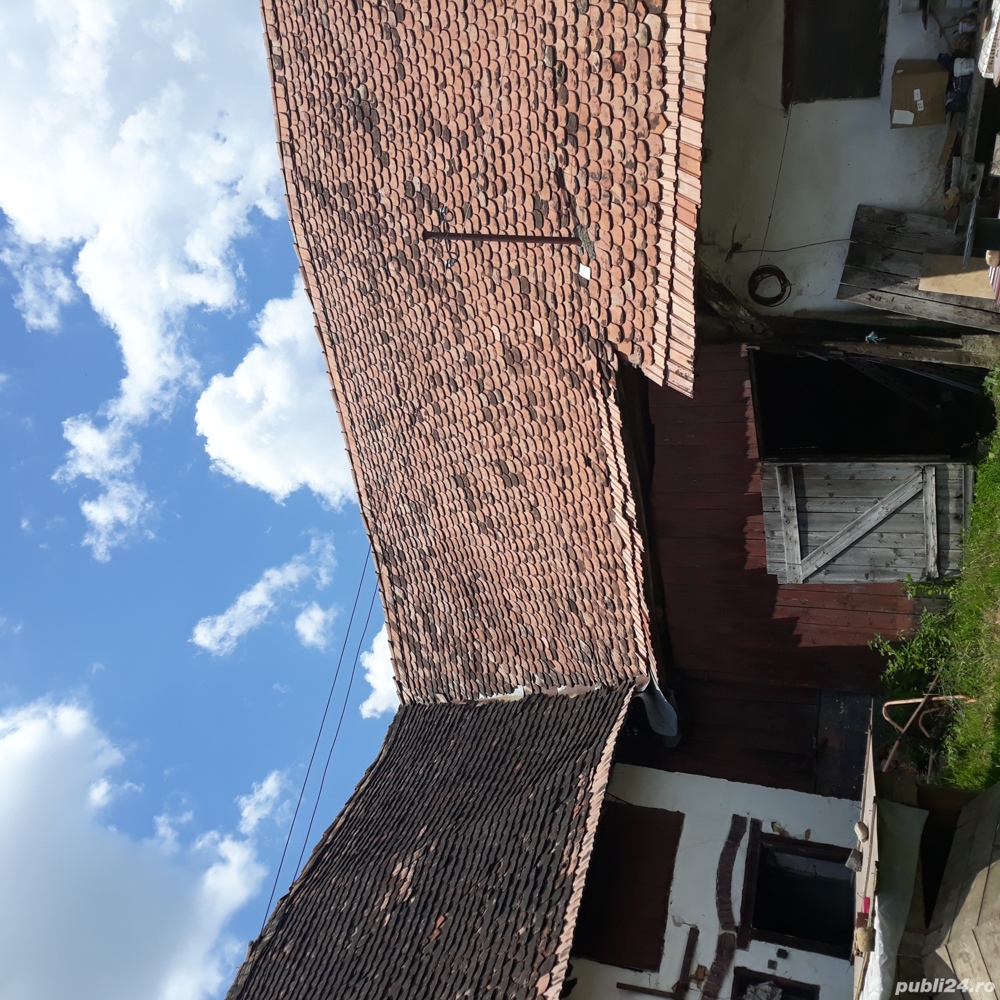 vand sura de peste 100 ani