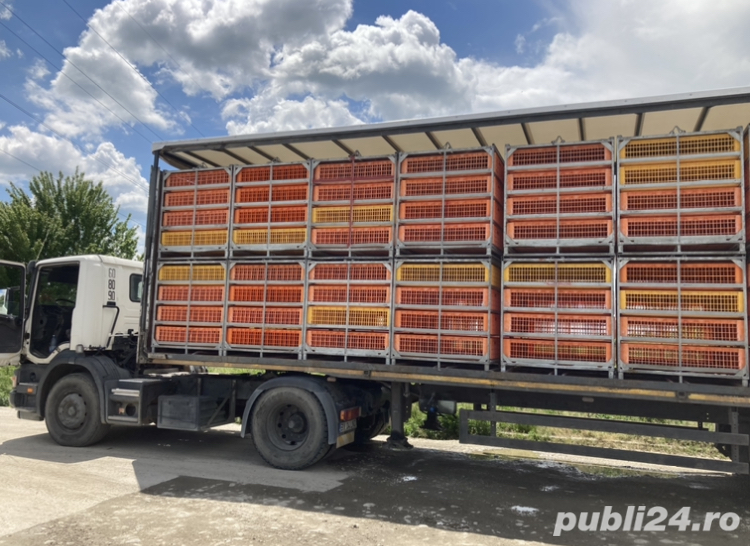 Container metalic transport pasări EGEA.