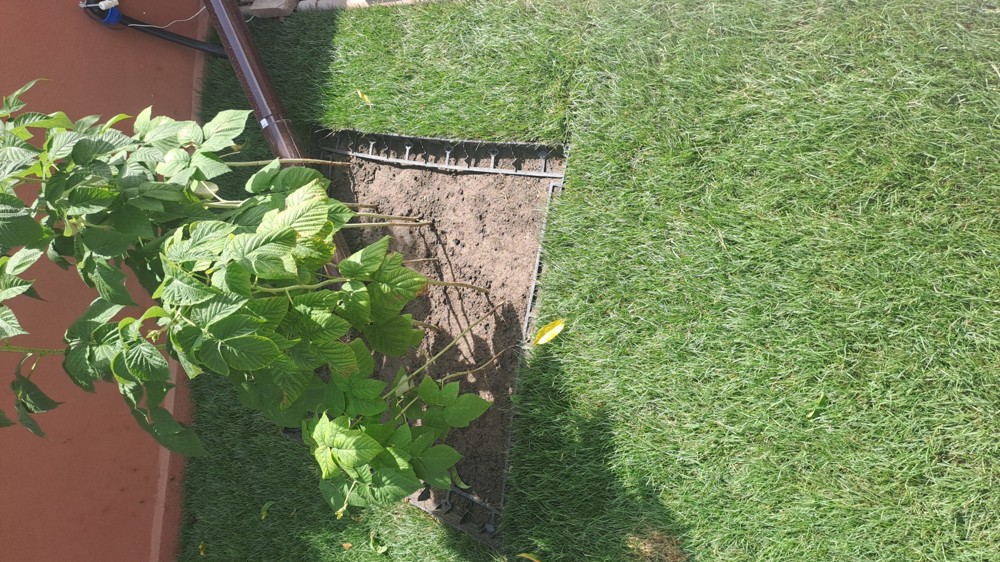 zilieri cautam de munca