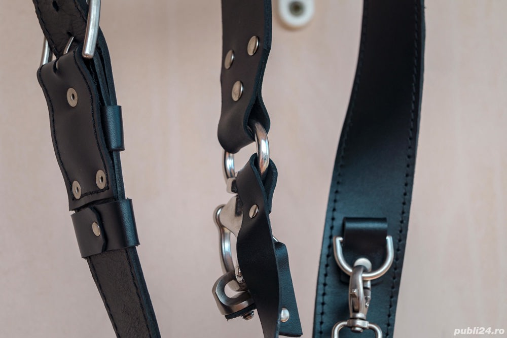 Vand ham foto 2 aparate