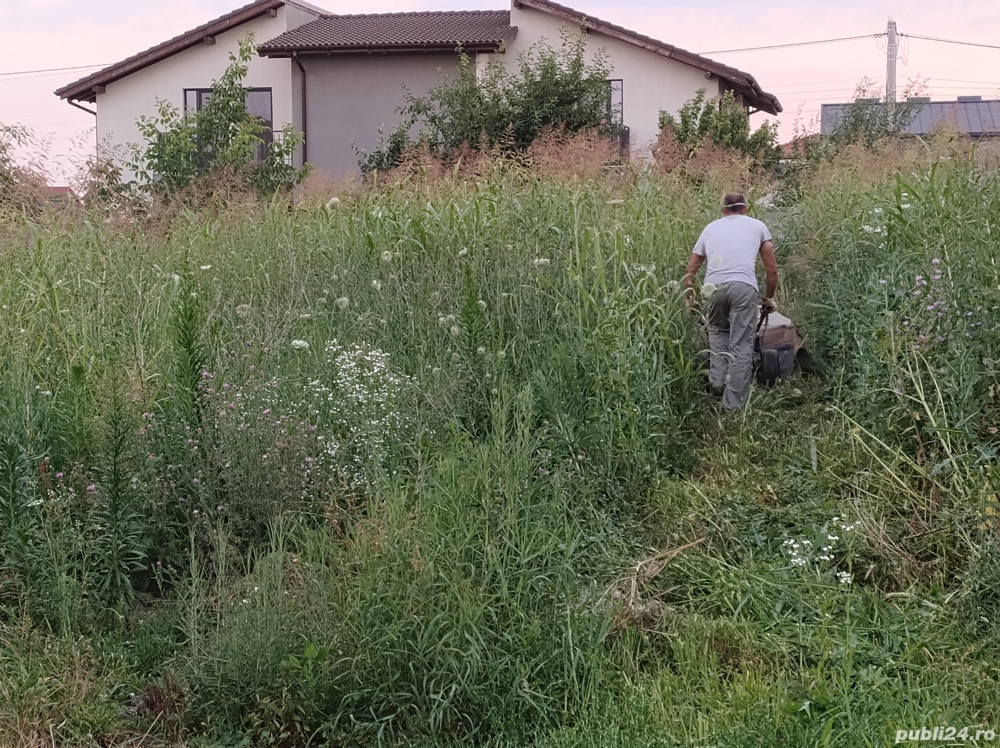 Cosesc tund iarba defrisez