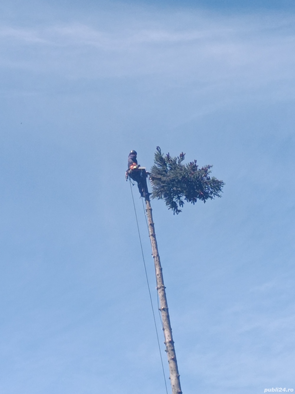 Alpinist Utilitar Drujbist 