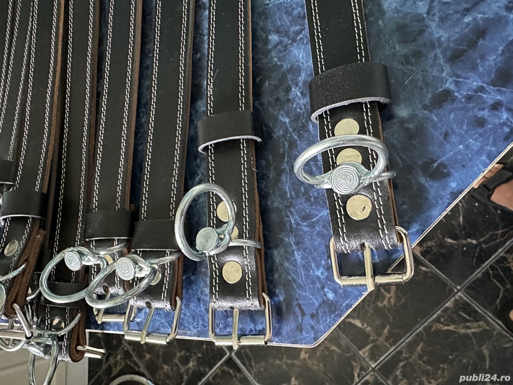 Zgarda ptr câini si pisici 