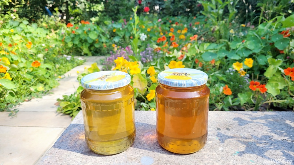 Miere Salcam , Miere Poliflora , 100% NATURALA BIO, producție 2024