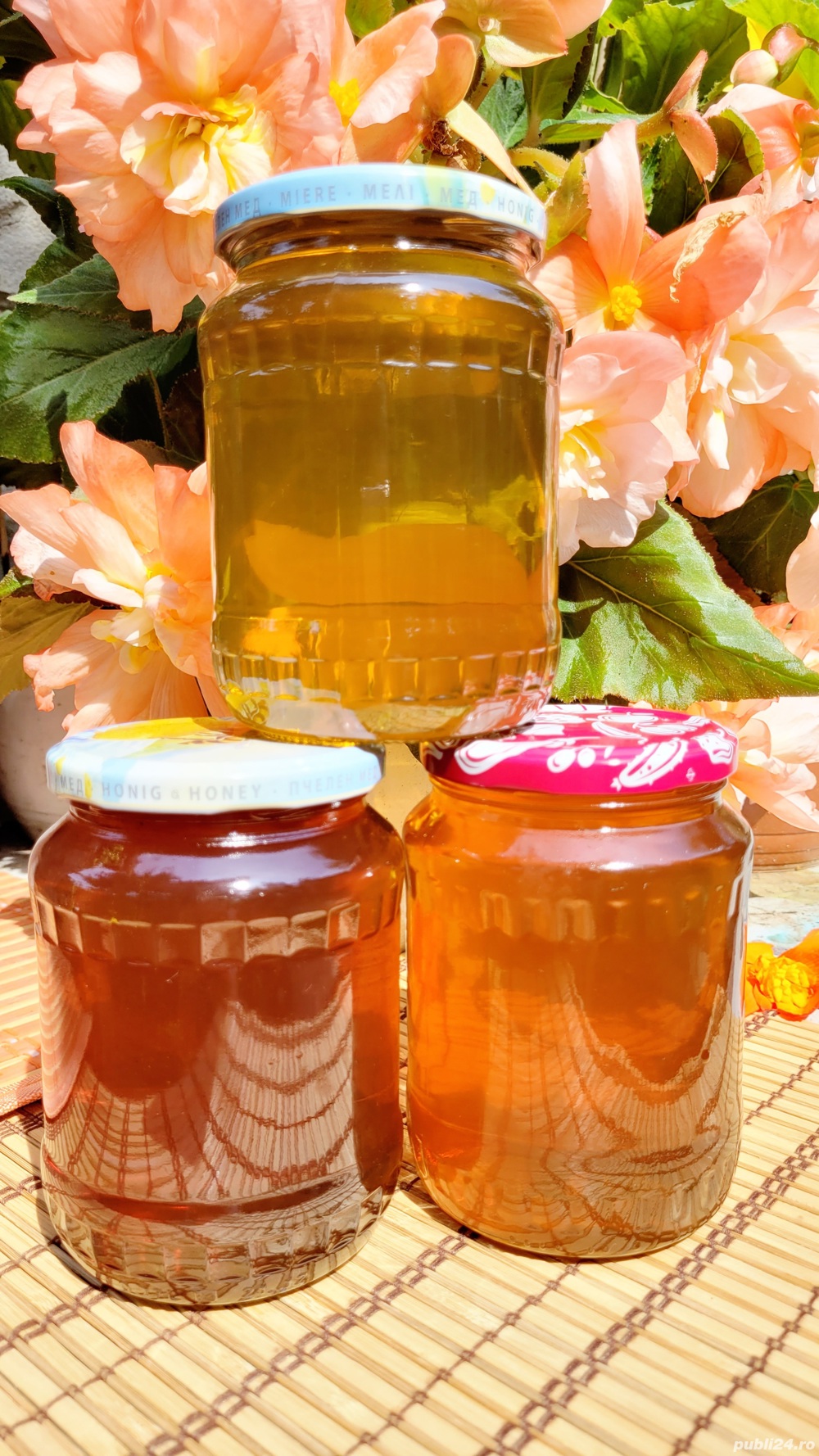 Miere de albine BIO Poliflora, SALCAM, 100% NATURALA, producție 2024