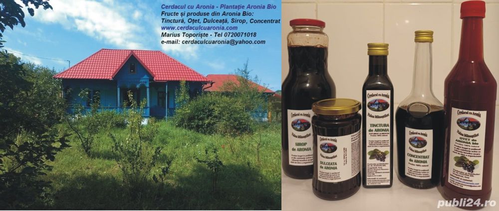 Vand fructe si produse din Aronia Bio: tinctura, otet, dulceata, sirop, concentrat - plantatie Gorj