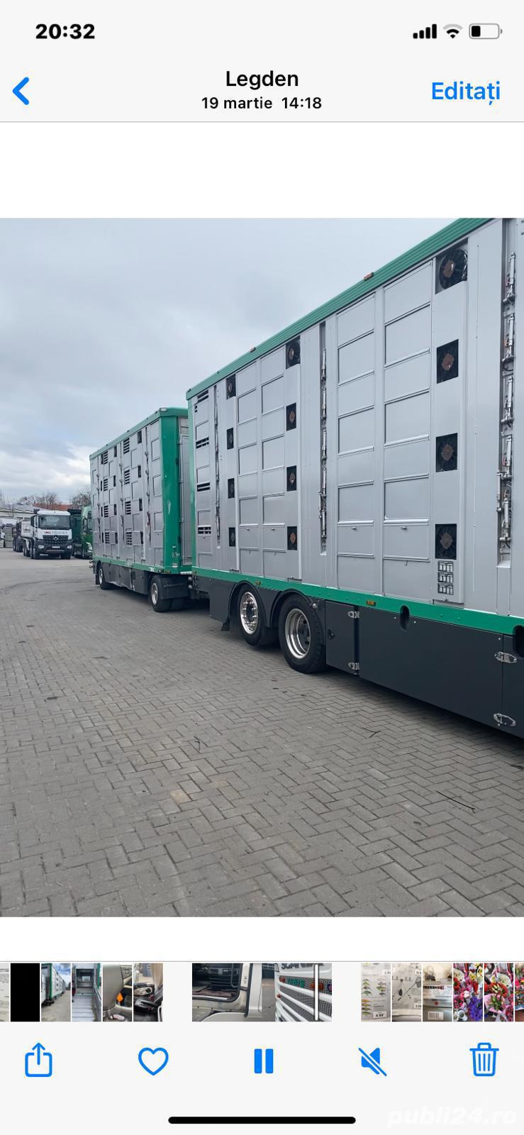 Transport animale vii