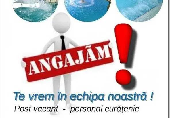 Angajam  Spalator Vase si Personal Curatenie