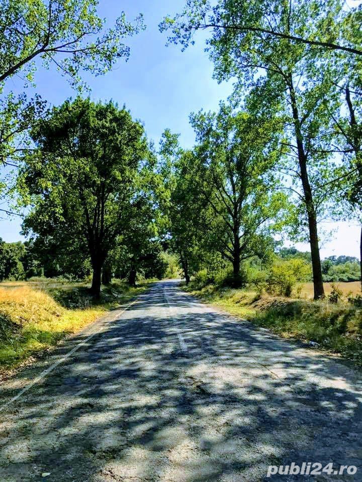 Vand teren intravilan in Buzad