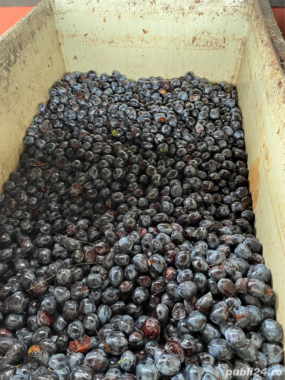 Vând pălincă în diverse sortimente. + Coniac 