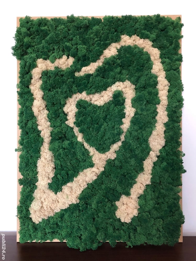 Vand tablouri cu licheni decorativi