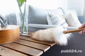 Menaj, curățenie la domiciliu 