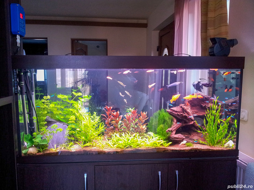 Vând acvariu pt pești, 400 litri, cu toate accesoriile