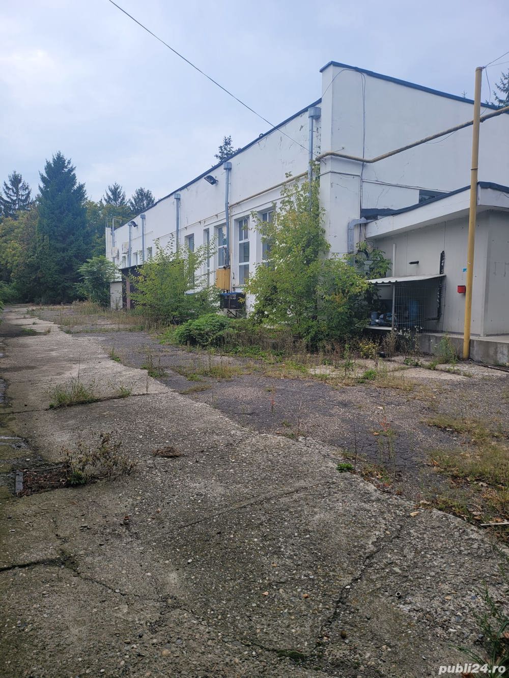 Teren 4.000 m.p. + Cladire 1.000 m.p.