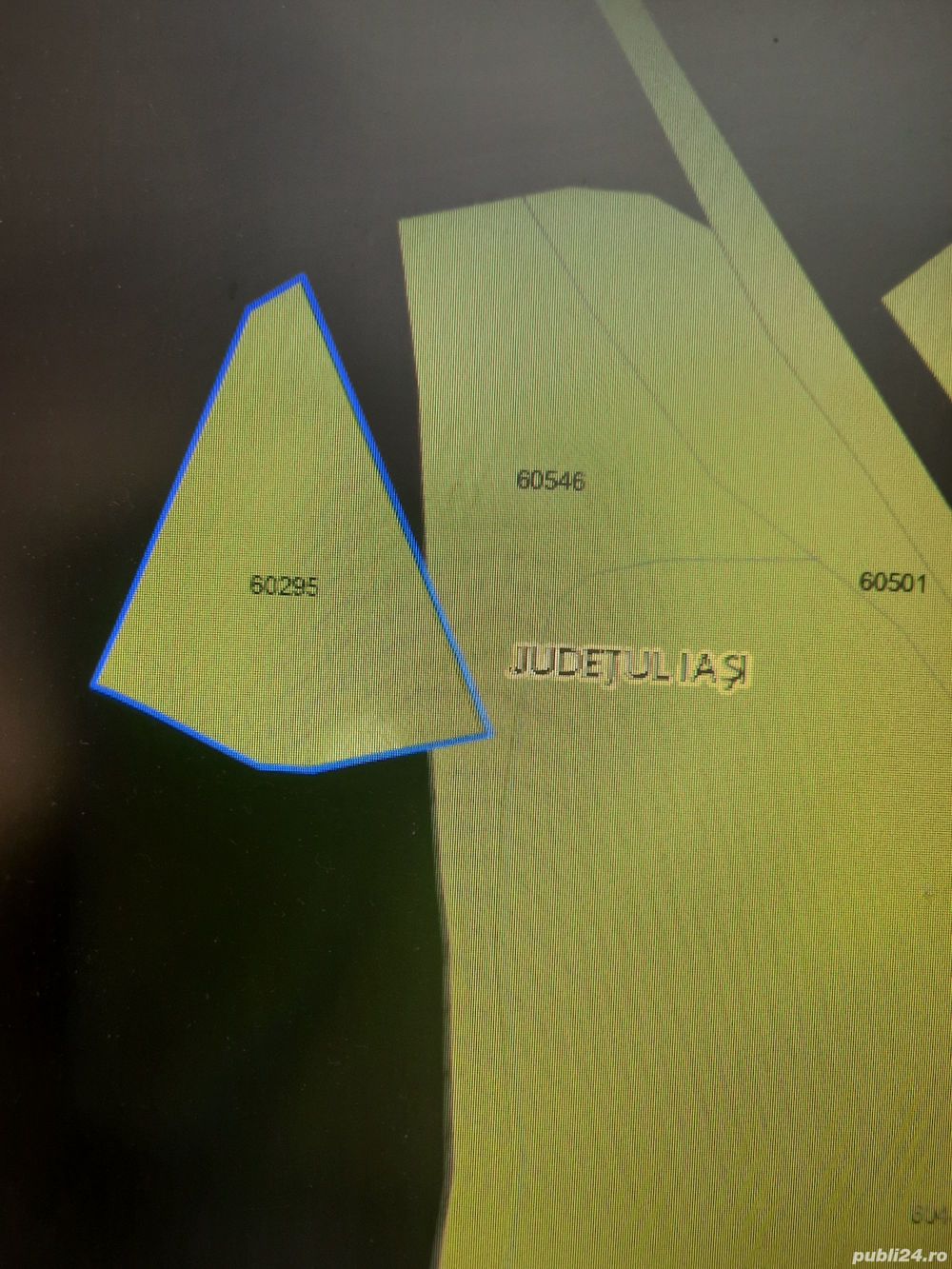 In rate teren pentru un tanar cu idei de afaceri si fara o ''matusa Tamara''.