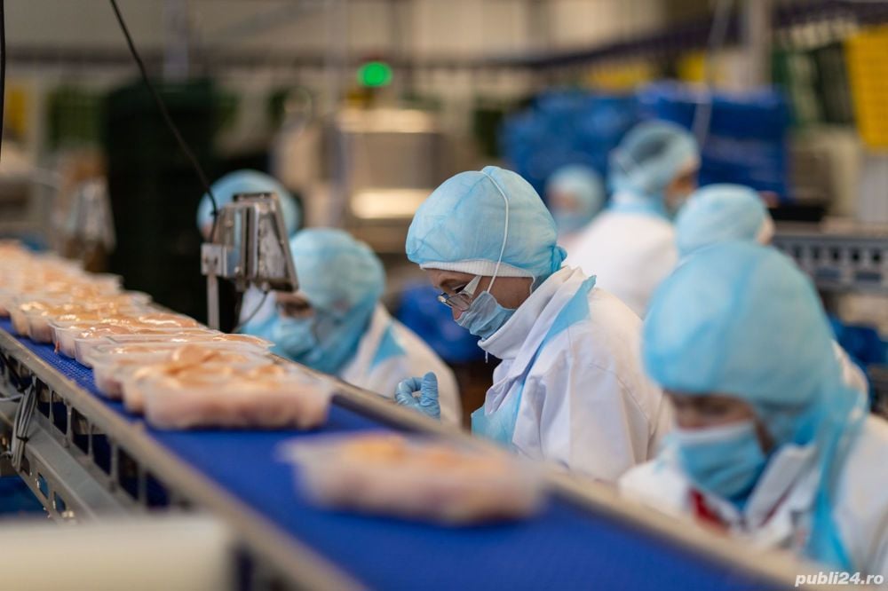 Muncitor necalificat în abator BV