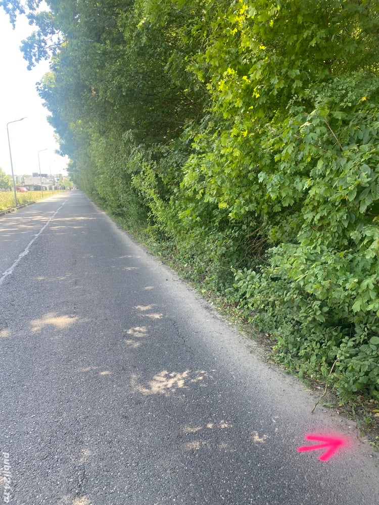 asociere ,colaboare ,caut partener