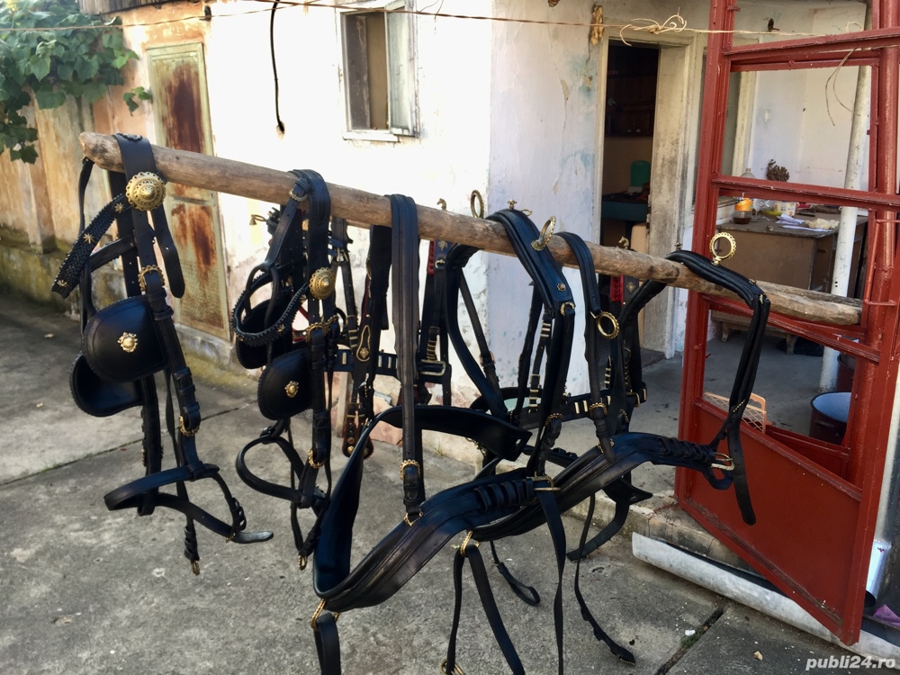 Hamuri pentru cai frizieni 