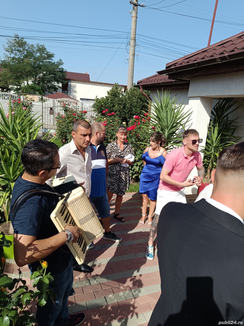 Acordeonist obiceiuri nunta 