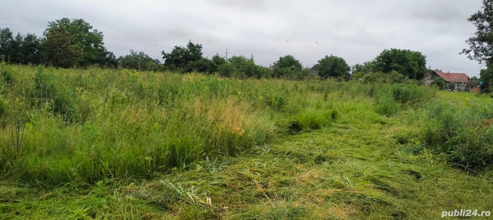 Defrisam grădini, curți, terenuri 