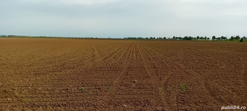 Teren intravilan industrian  16.500 mp , Deschidere 27 ml 