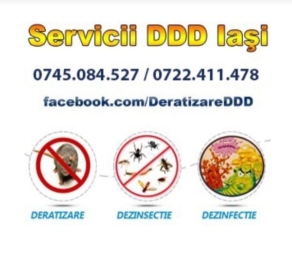 Deratizare-Dezinfectie-Dezinsectie Iasi