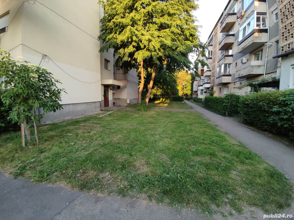 3 camere solidarități ipotesti 9