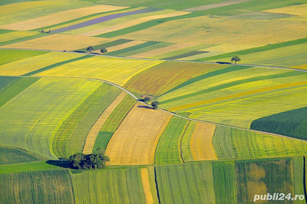 Vând 3 hectare teren agricol , comuna Unirea , județul Călărași