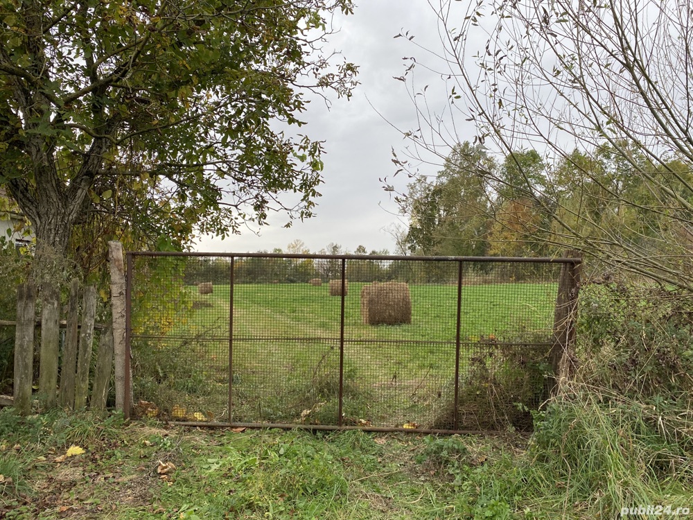 Vand Teren Intravilan, sat Duboz, comuna Nitchidorf, Timis