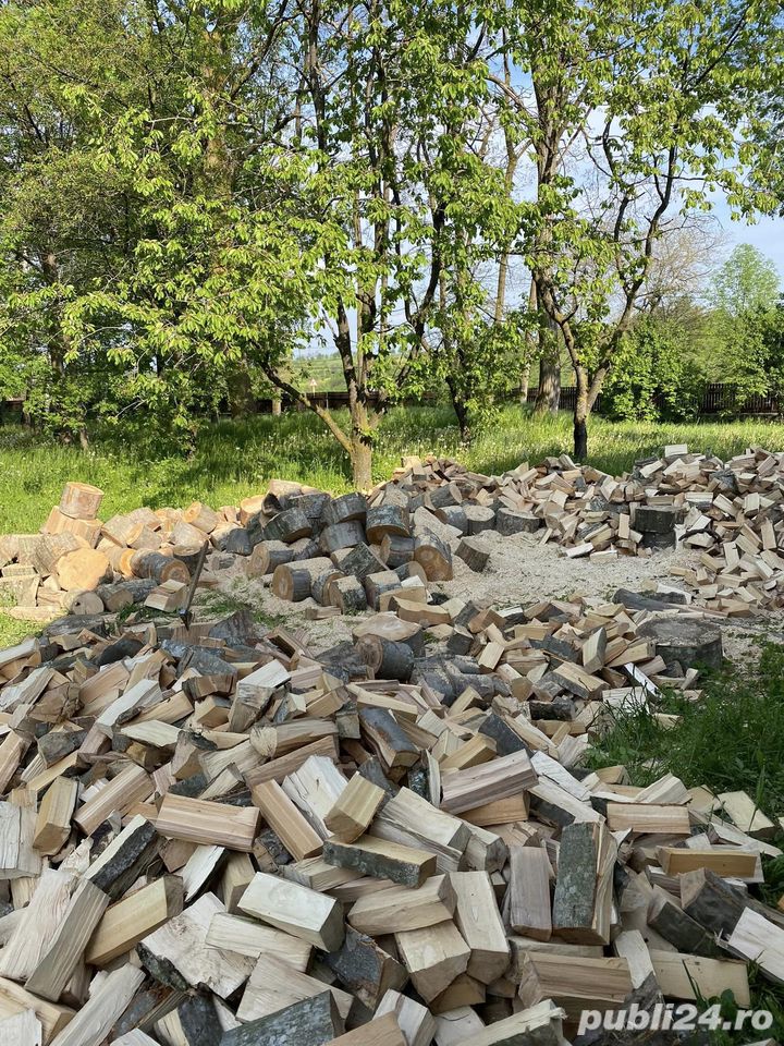 Lemne foc esenta tare uscate