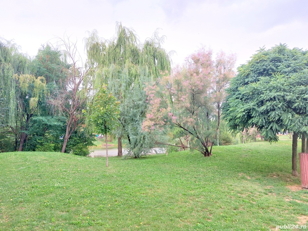 Fraidorf   apartament cu doua camere