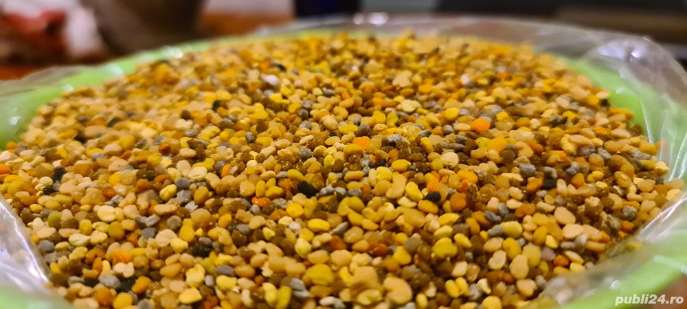 Polen crud poliflor recolta primăvară 2025 