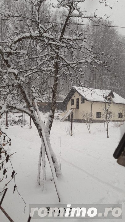 Cabana 4 camere zona Valea Avrigului