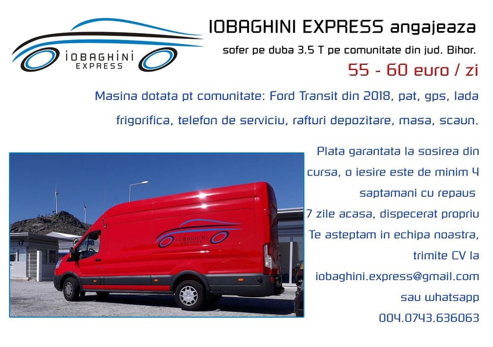 Sofer Comunitate Pe Duba 3.5T 55 - 60 Euro Zi • Iobaghini Express ...