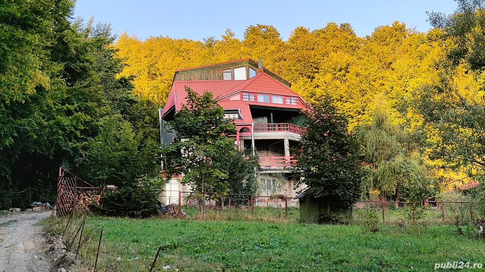 De vanzare in Lepsa - Casa de Vacanta   Cabana   Pensiune   Vila   Casa la Munte