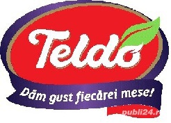 Agent de vanzari_Fabrica de mezeluri Teldo