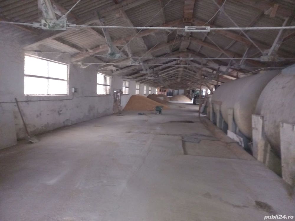 Uruiala cereale grau,porumb si mazare