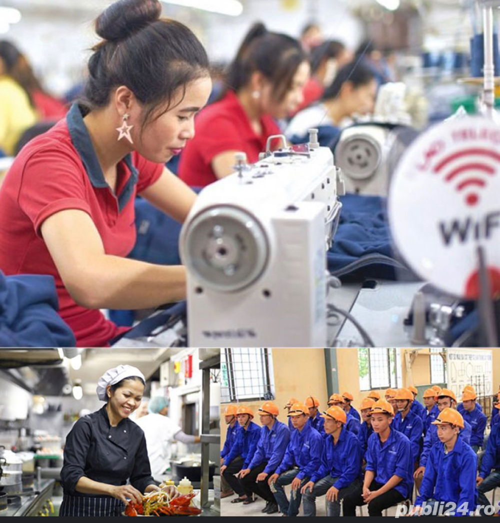 Agenție pentru plasarea fortei de munca din Sri Lanka 