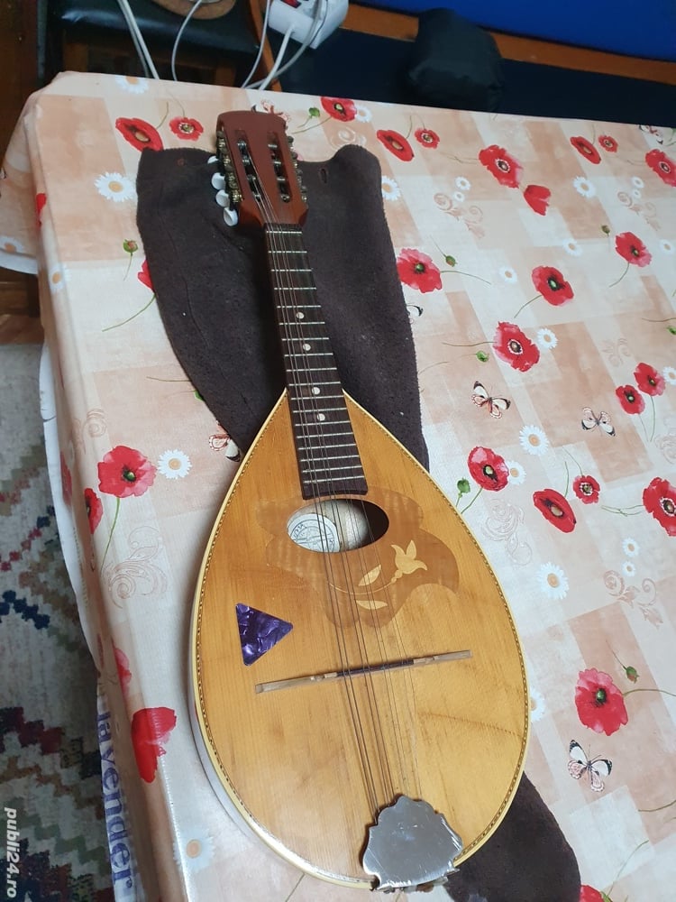 Vand Mandolina Reghin