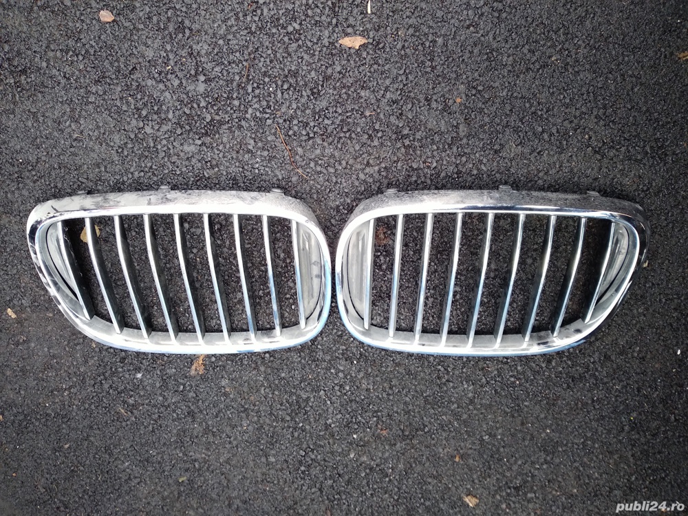 Grila BMW 