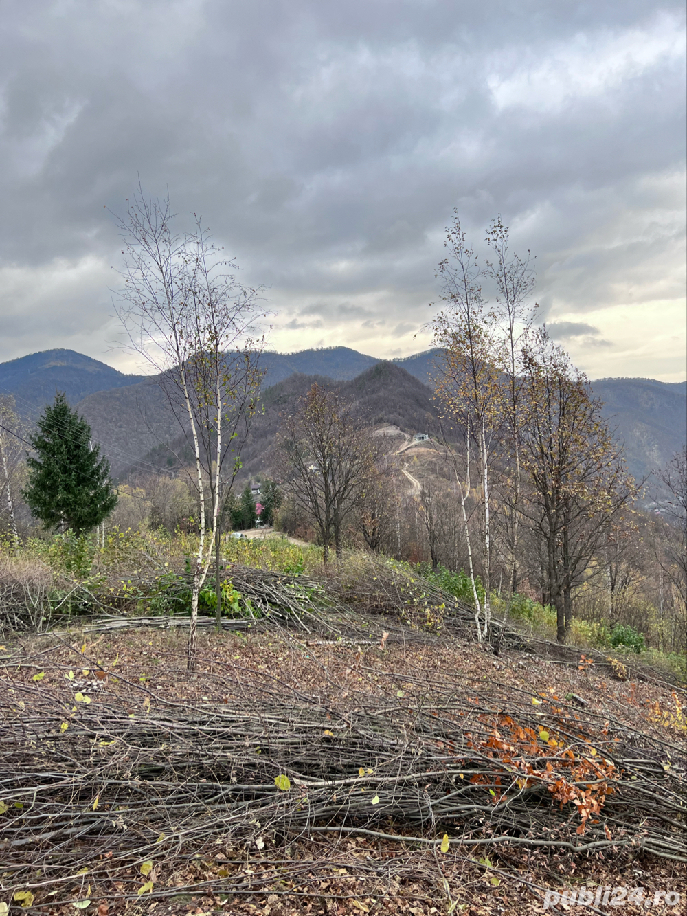 Vand teren in Muntele Rece Paltinei 