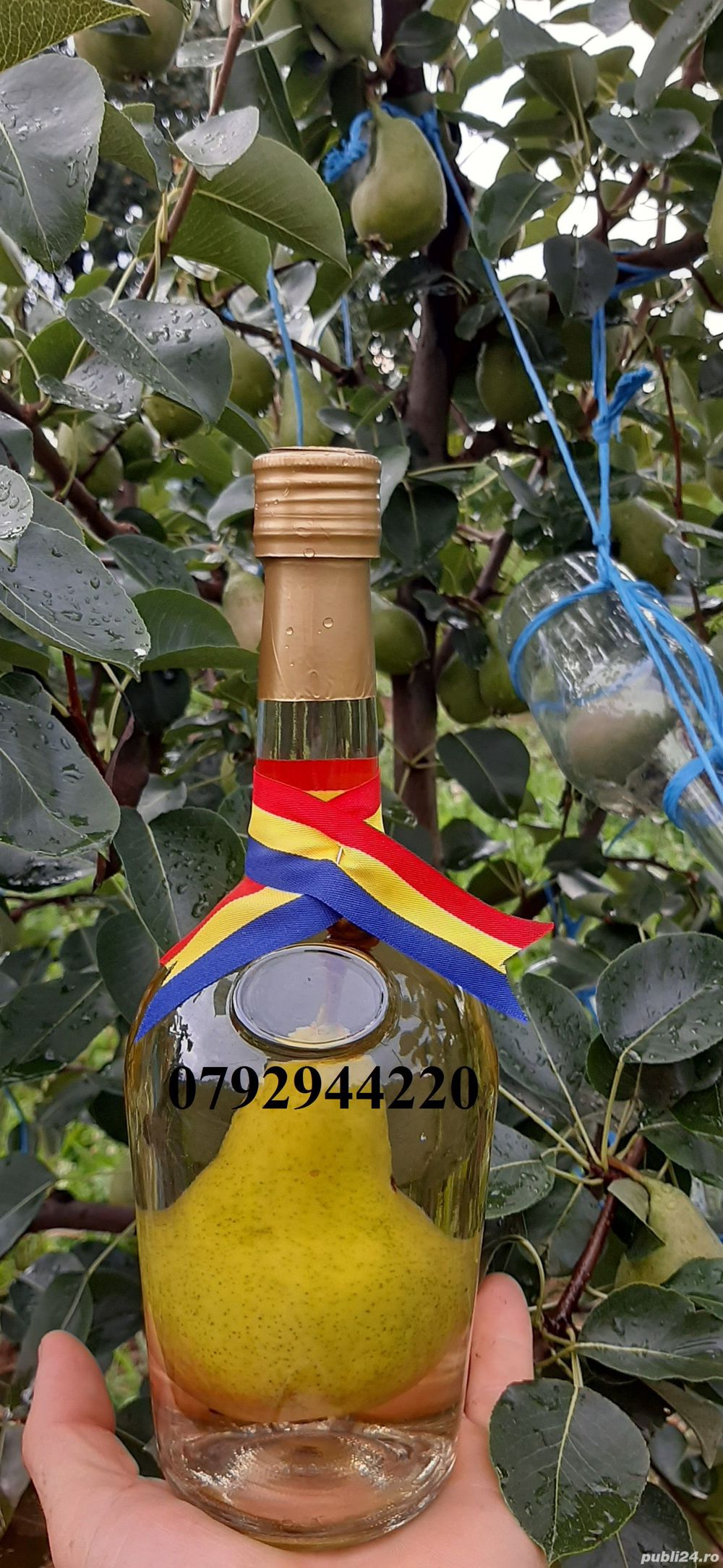 Sticla cu para wiliams