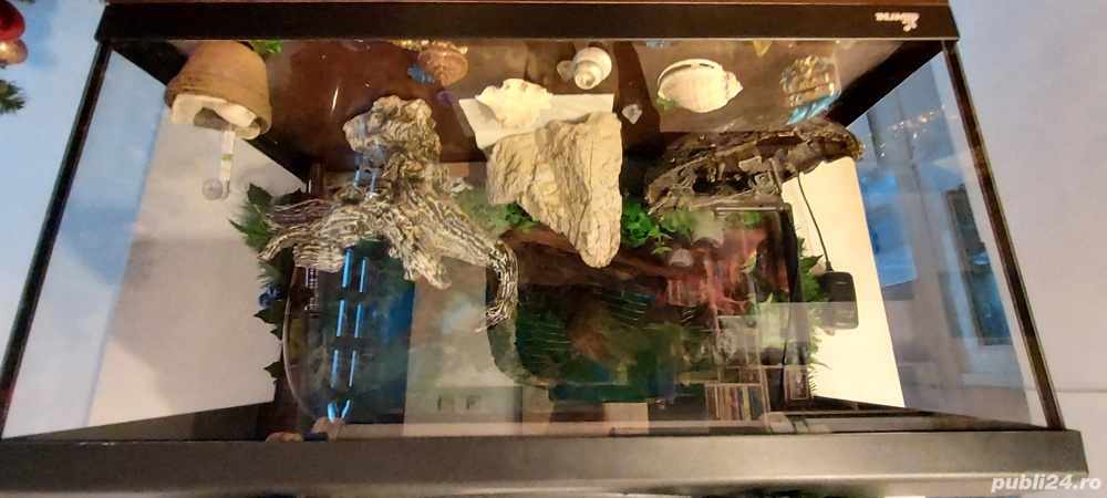 Acvariu pentru pesti