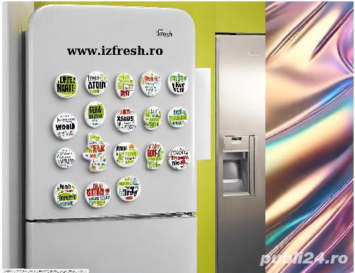 Magneti de frigider 20 buc = 104 ron