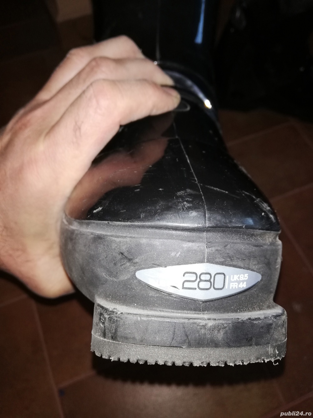 Clăpari alpina munari